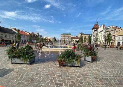 lokal na wynajem - Bielsko-Biała, Centrum