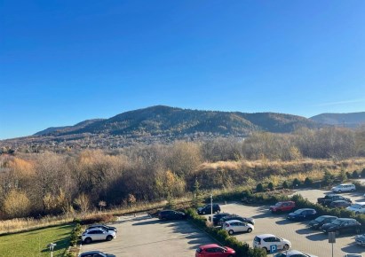 mieszkanie na wynajem - Bielsko-Biała, Osiedle Langiewicza